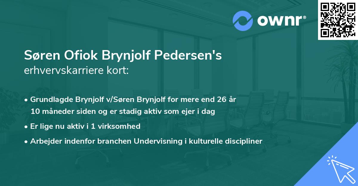 Søren Ofiok Brynjolf Pedersen's erhvervskarriere kort