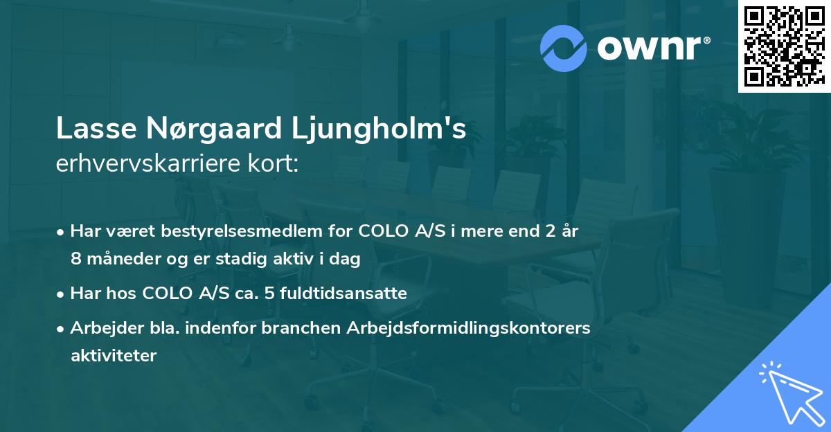 Lasse Nørgaard Ljungholm's erhvervskarriere kort