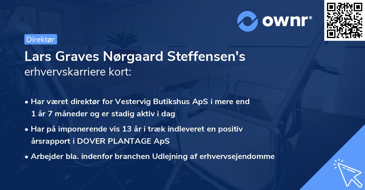 Lars Graves Nørgaard Steffensen's erhvervskarriere kort