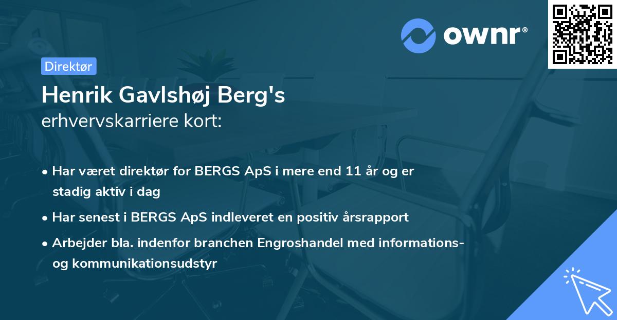 Henrik Gavlshøj Berg's erhvervskarriere kort