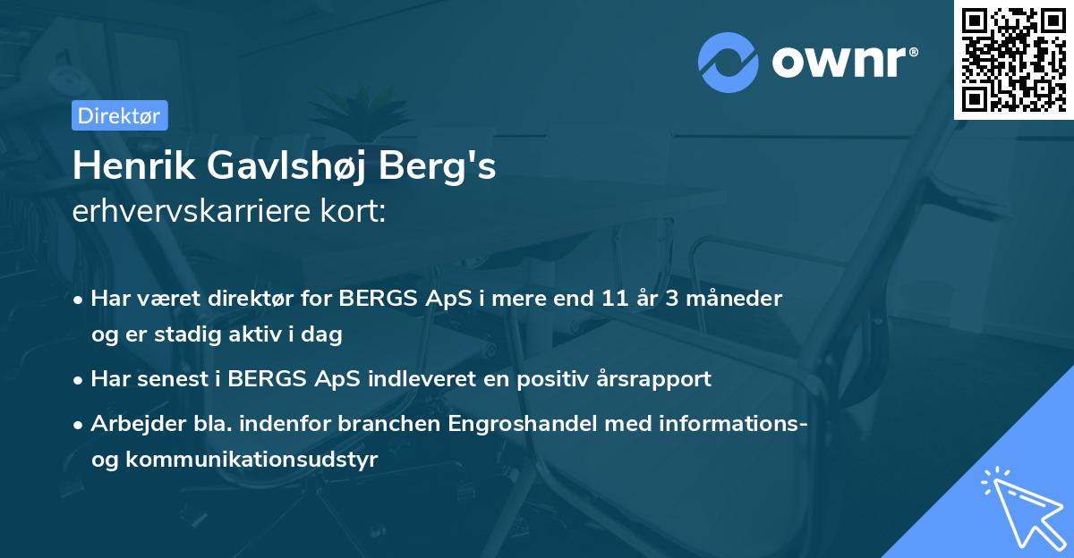 Henrik Gavlshøj Berg's erhvervskarriere kort