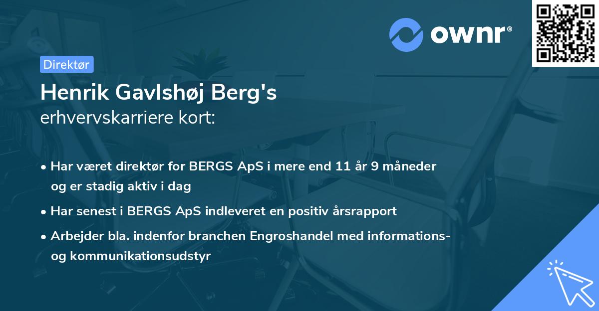 Henrik Gavlshøj Berg's erhvervskarriere kort