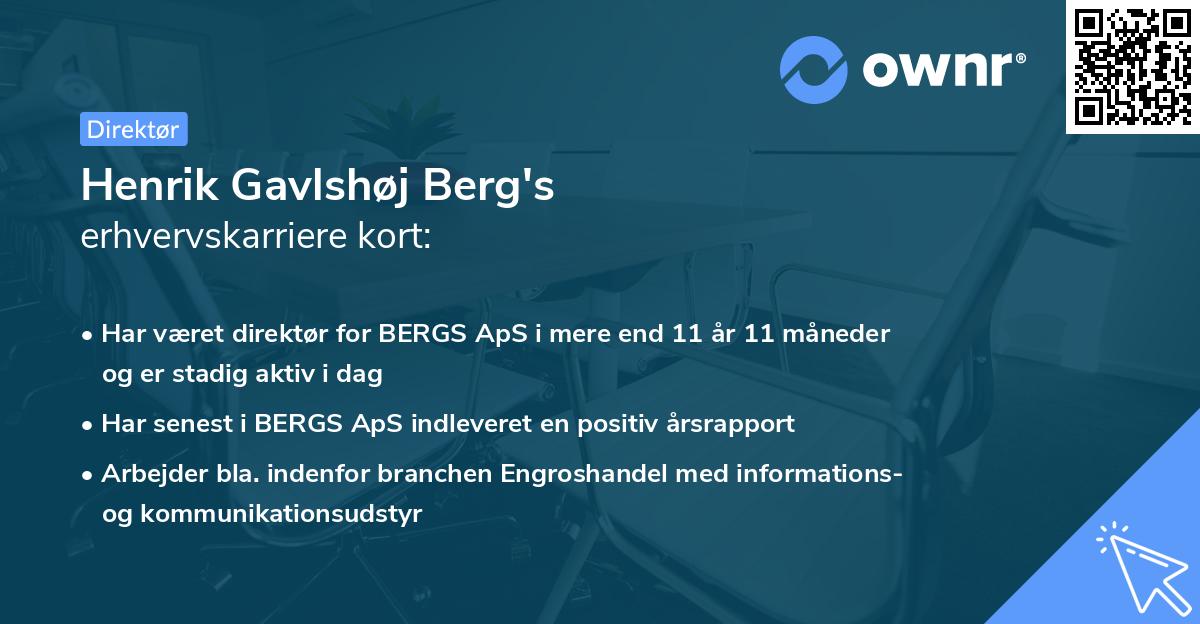 Henrik Gavlshøj Berg's erhvervskarriere kort
