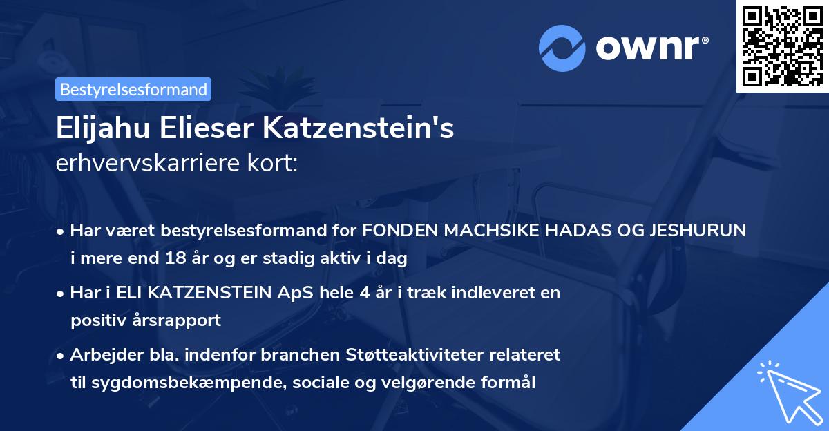 Elijahu Elieser Katzenstein's erhvervskarriere kort