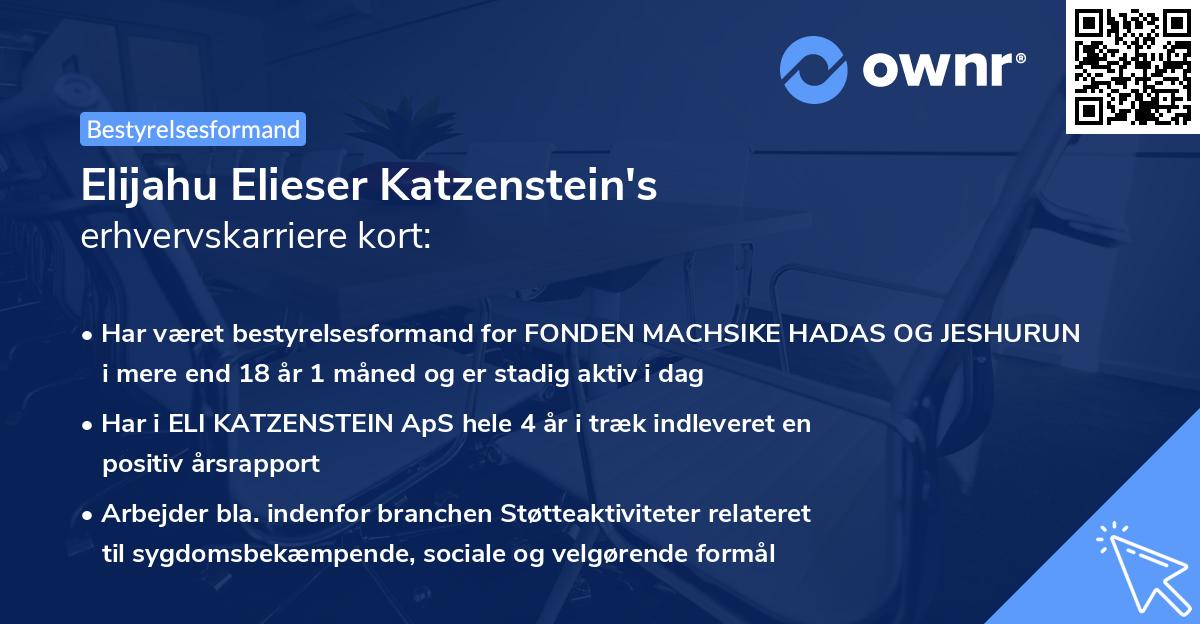 Elijahu Elieser Katzenstein's erhvervskarriere kort