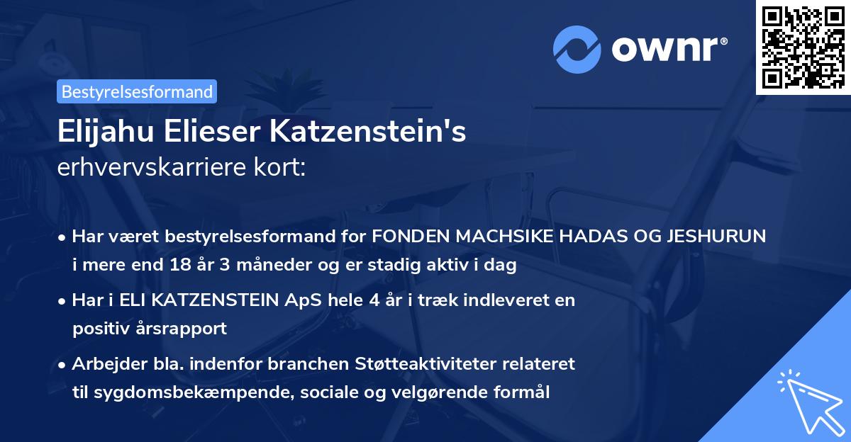 Elijahu Elieser Katzenstein's erhvervskarriere kort