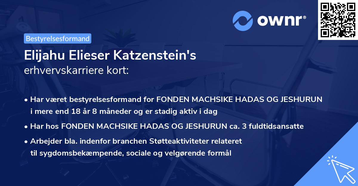 Elijahu Elieser Katzenstein's erhvervskarriere kort