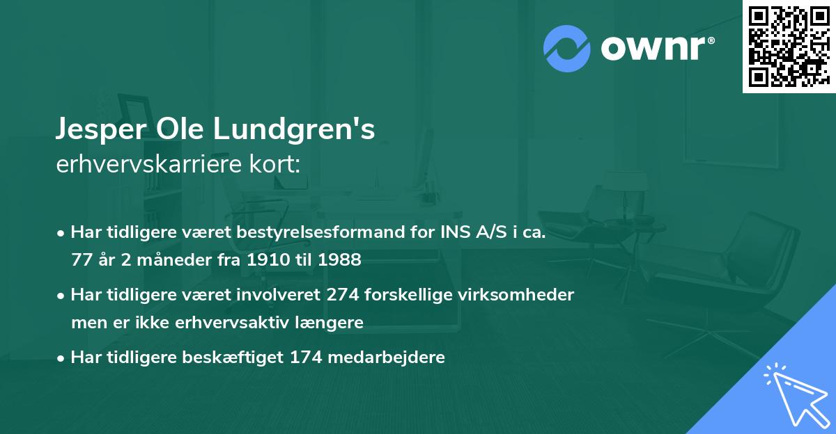 Jesper Ole Lundgren's erhvervskarriere kort