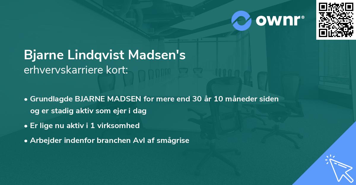 Bjarne Lindqvist Madsen's erhvervskarriere kort