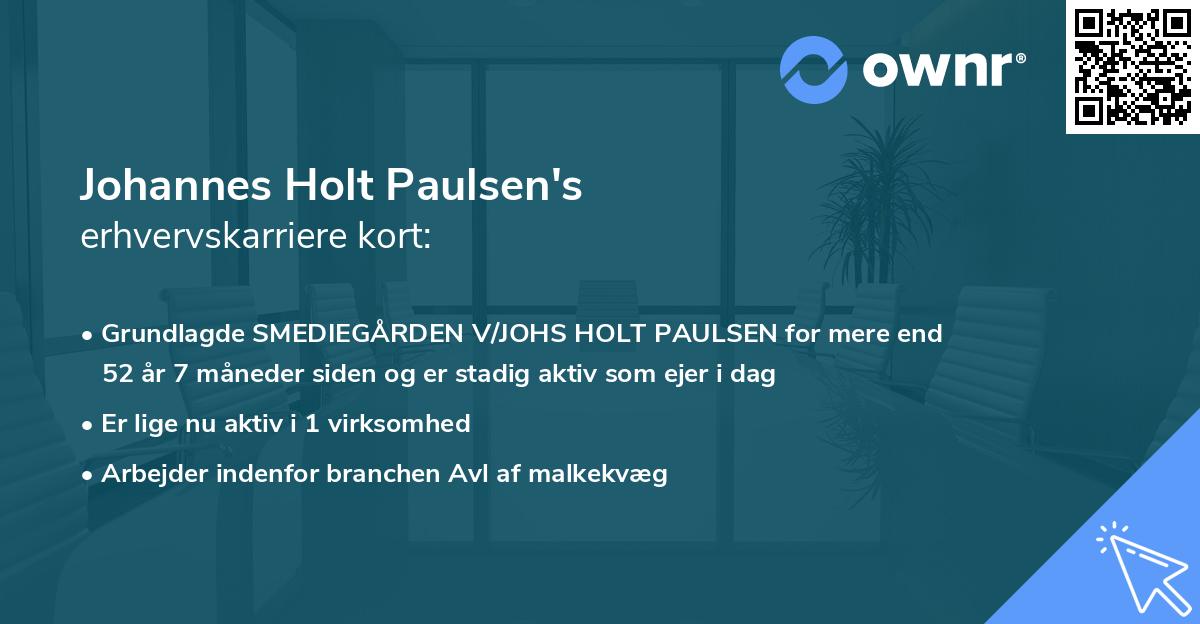 Johannes Holt Paulsen's erhvervskarriere kort
