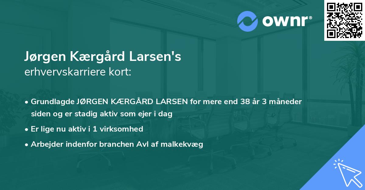 Jørgen Kærgård Larsen's erhvervskarriere kort