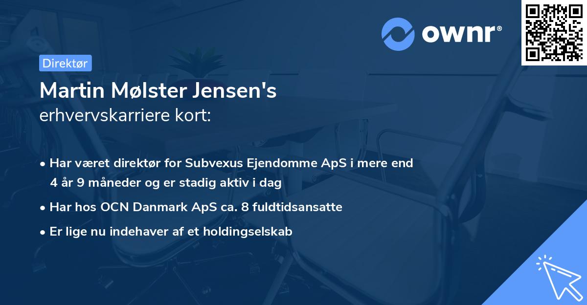 Martin Mølster Jensen's erhvervskarriere kort