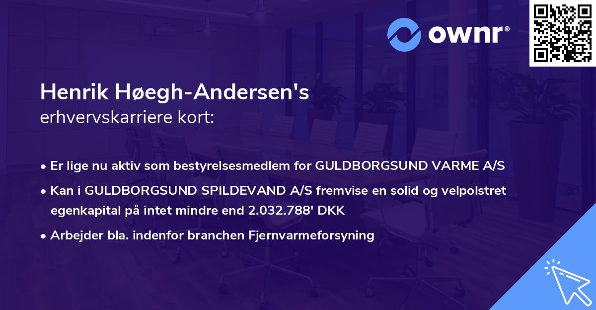 Henrik Høegh-Andersen's erhvervskarriere kort