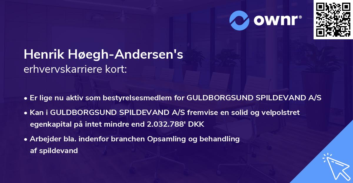 Henrik Høegh-Andersen's erhvervskarriere kort