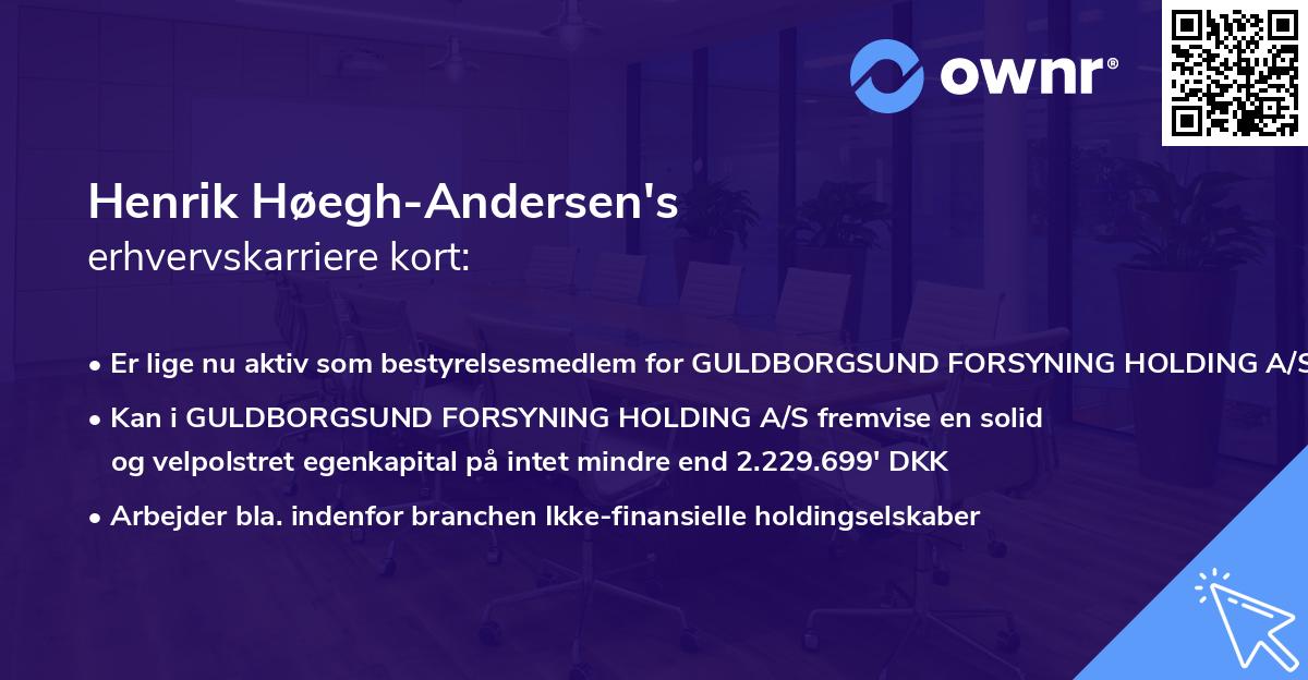 Henrik Høegh-Andersen's erhvervskarriere kort