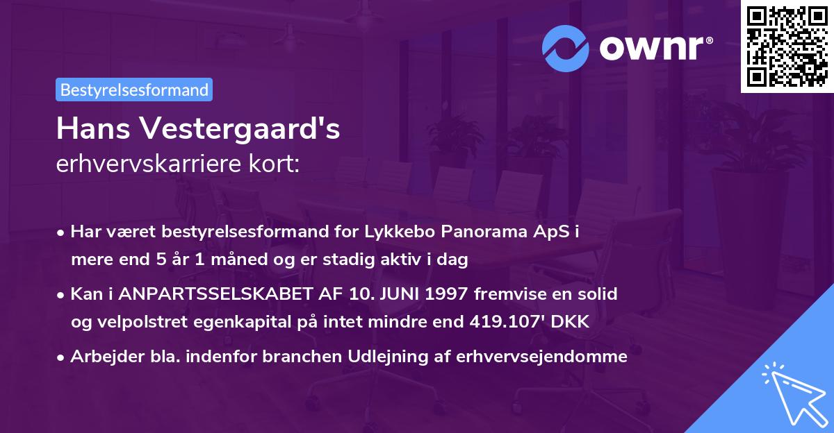 Hans Vestergaard's erhvervskarriere kort