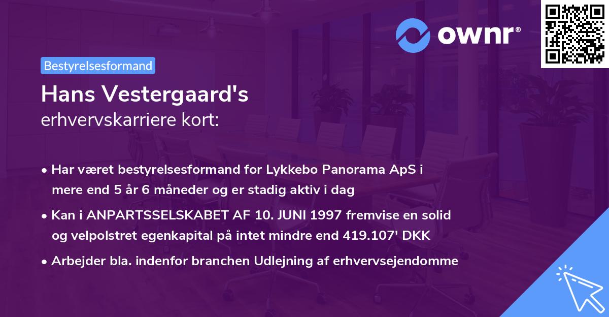 Hans Vestergaard's erhvervskarriere kort