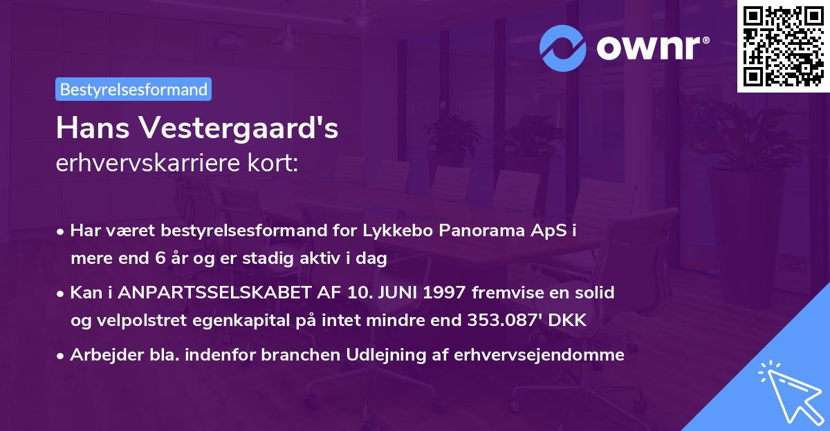 Hans Vestergaard's erhvervskarriere kort