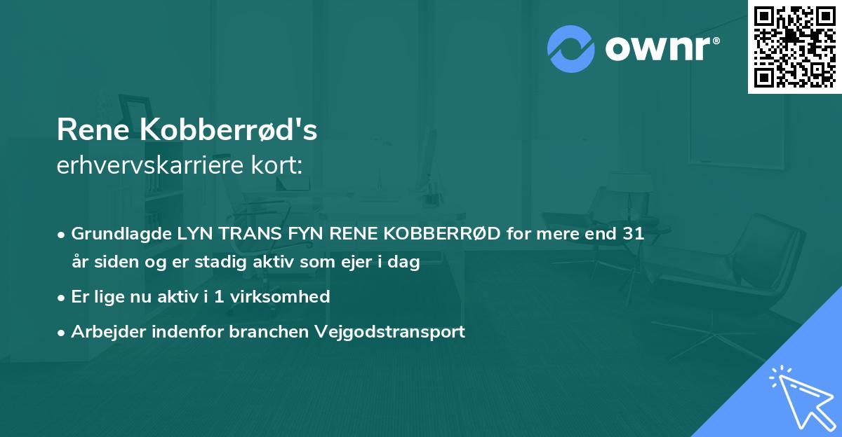 Rene Kobberrød's erhvervskarriere kort