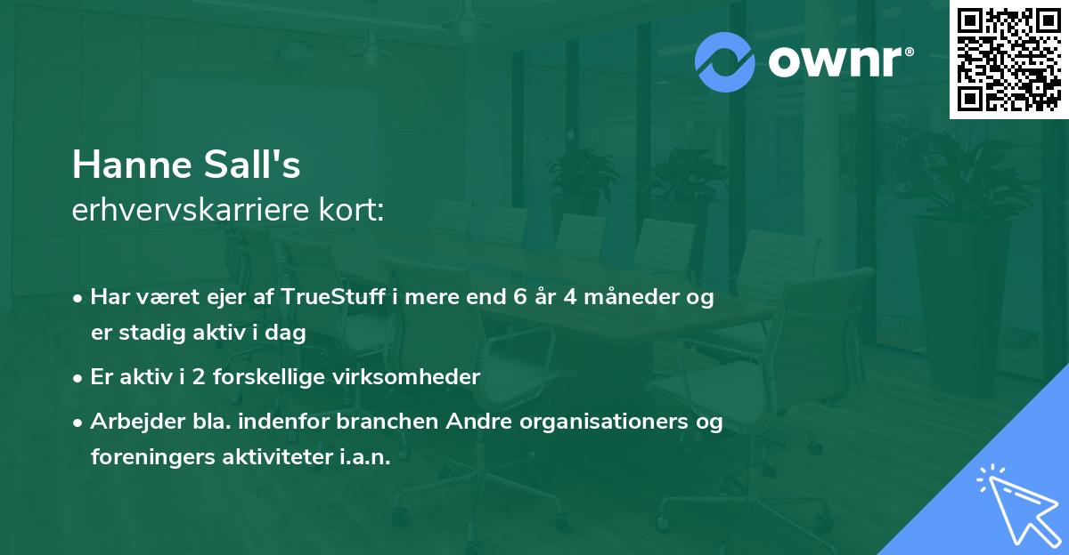 Hanne Sall's erhvervskarriere kort