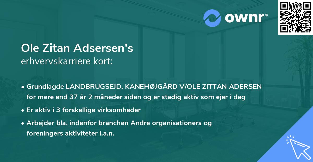 Ole Zitan Adsersen's erhvervskarriere kort