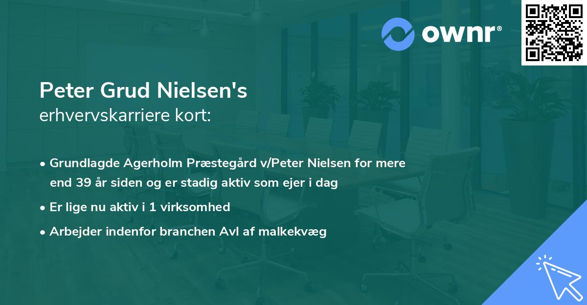 Peter Grud Nielsen's erhvervskarriere kort