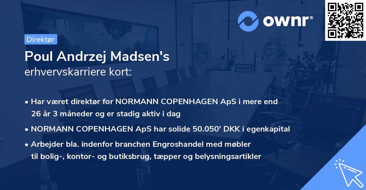 Poul Andrzej Madsen's erhvervskarriere kort
