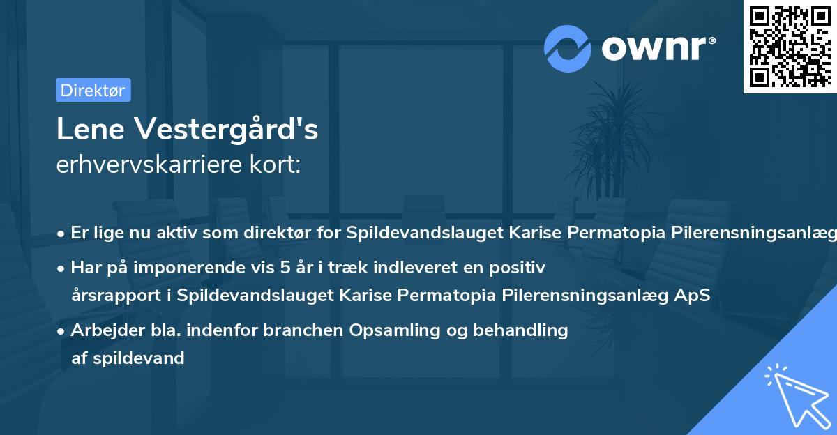 Lene Vestergård's erhvervskarriere kort
