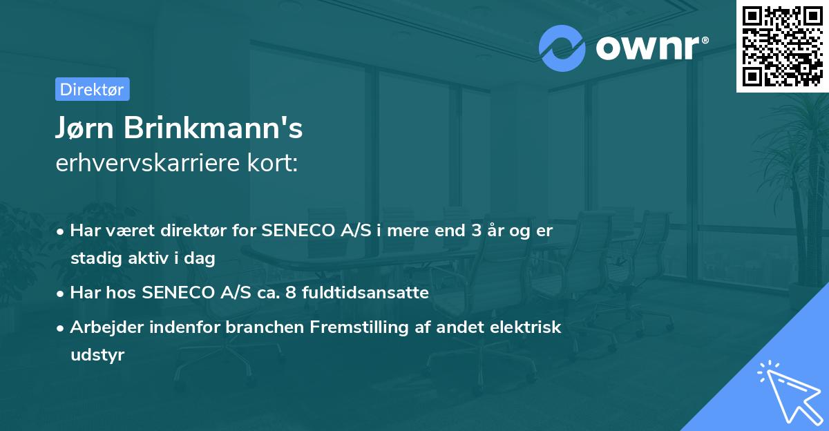 Jørn Brinkmann's erhvervskarriere kort