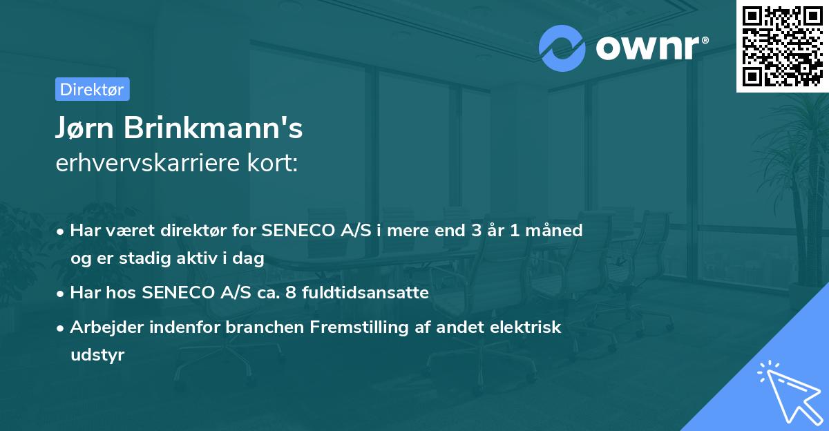Jørn Brinkmann's erhvervskarriere kort