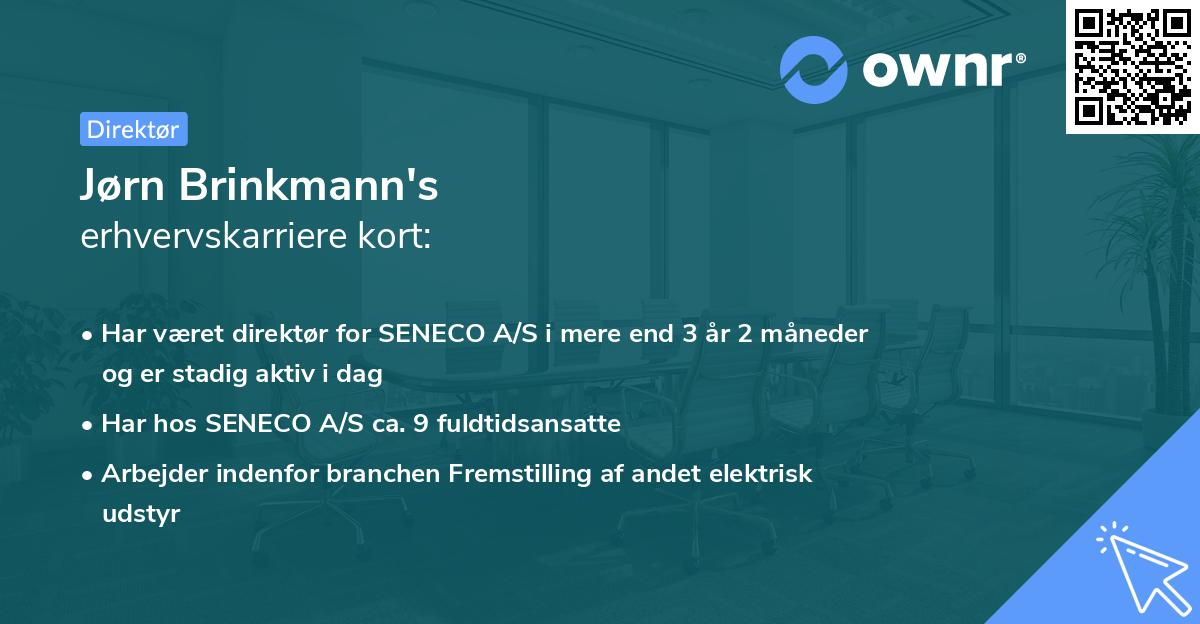 Jørn Brinkmann's erhvervskarriere kort