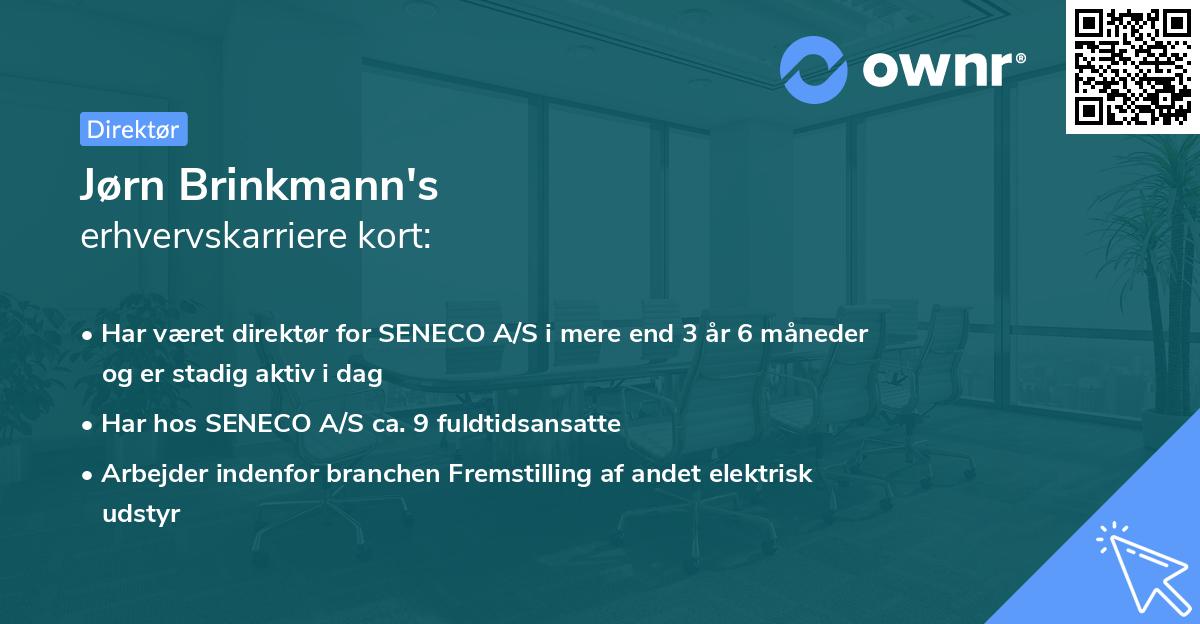 Jørn Brinkmann's erhvervskarriere kort