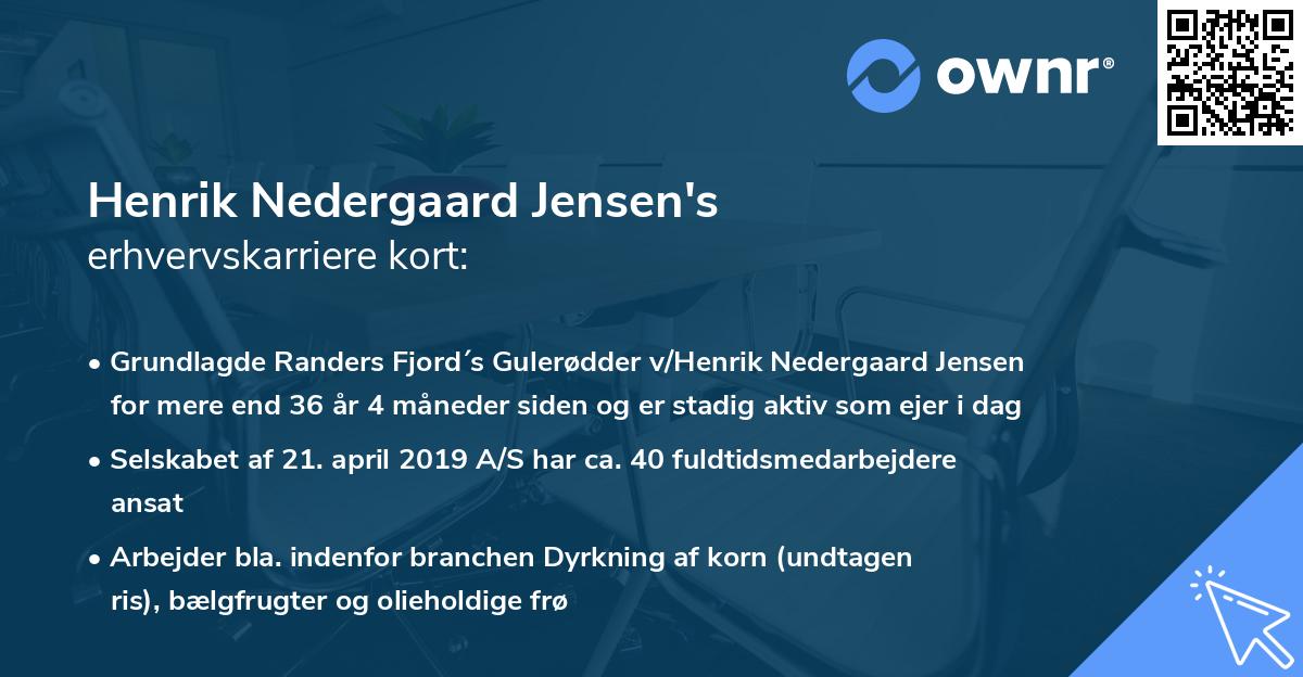Henrik Nedergaard Jensen's erhvervskarriere kort