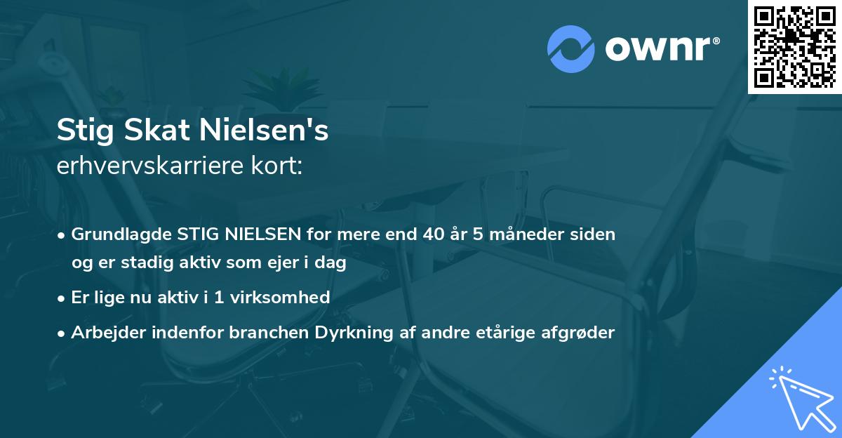 Stig Skat Nielsen's erhvervskarriere kort