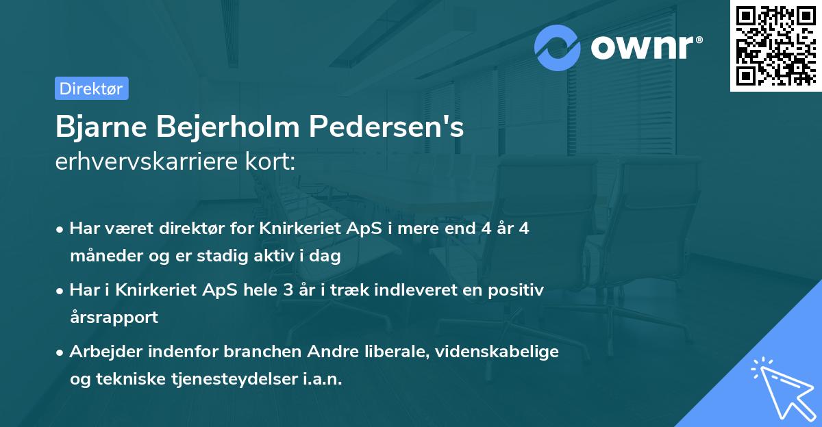 Bjarne Bejerholm Pedersen's erhvervskarriere kort
