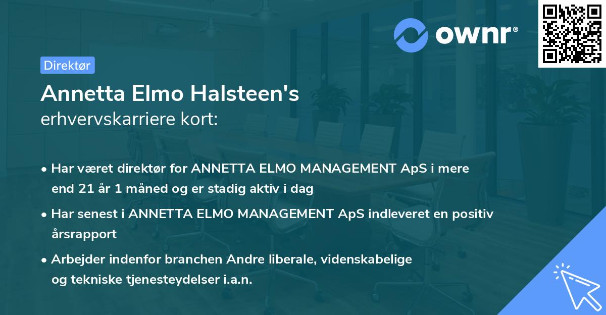 Annetta Elmo Halsteen's erhvervskarriere kort