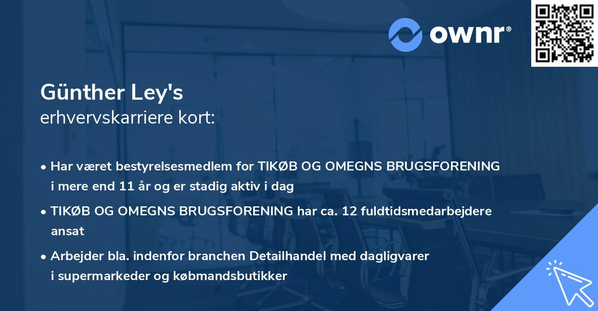 Günther Ley's erhvervskarriere kort