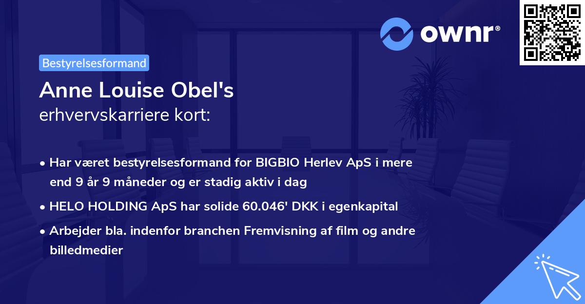 Anne Louise Obel's erhvervskarriere kort