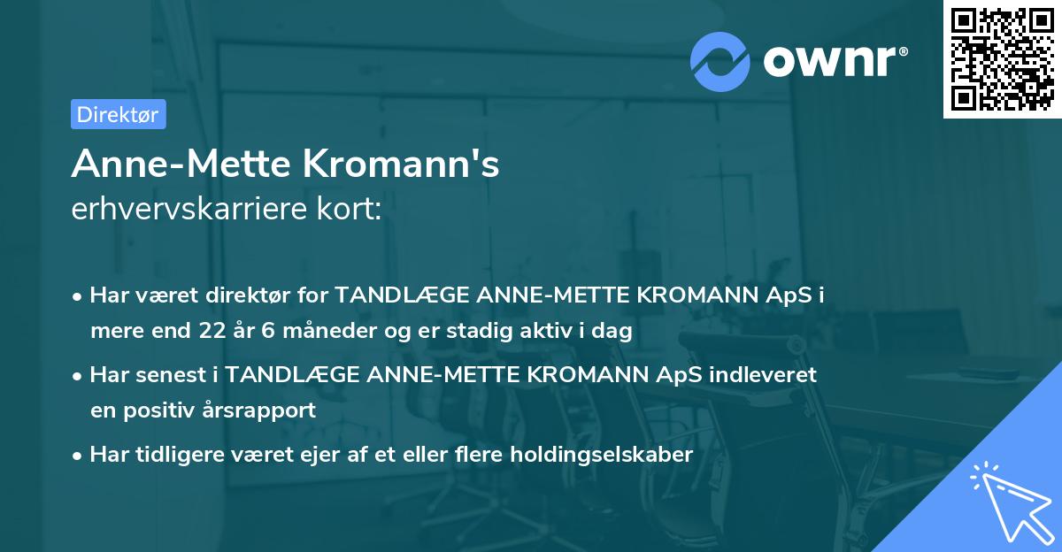 Anne-Mette Kromann's erhvervskarriere kort