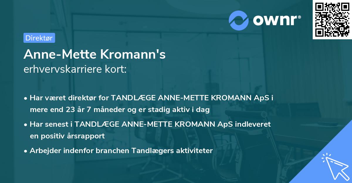 Anne-Mette Kromann's erhvervskarriere kort