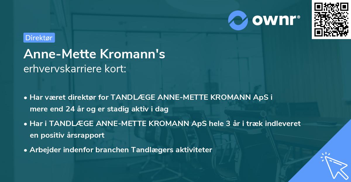 Anne-Mette Kromann's erhvervskarriere kort