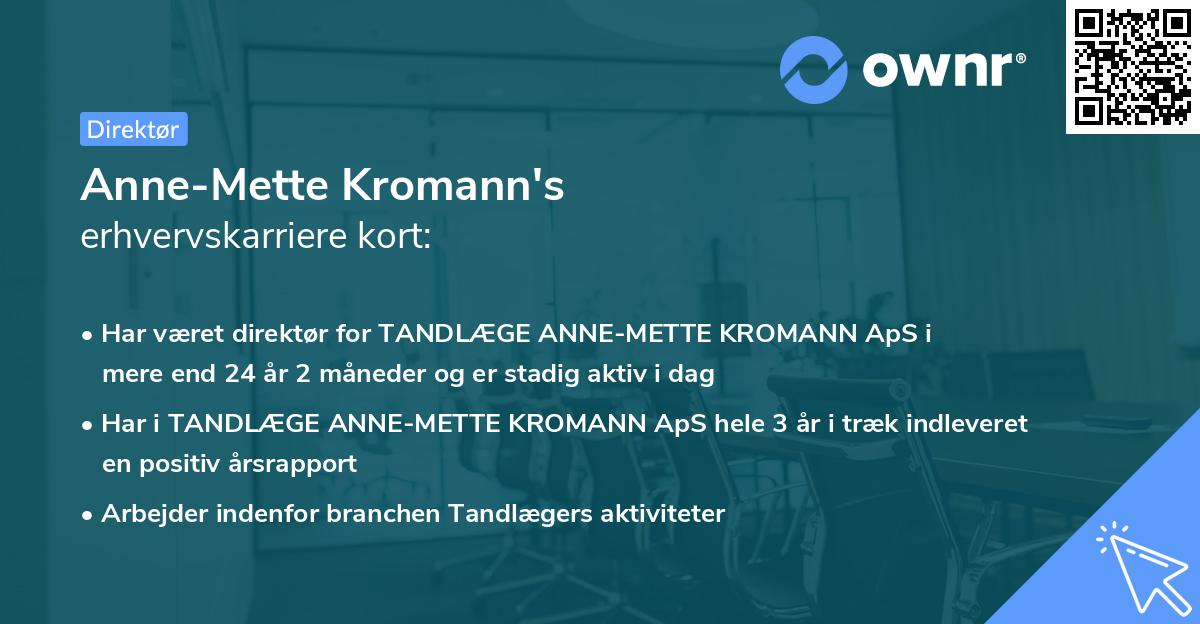 Anne-Mette Kromann's erhvervskarriere kort