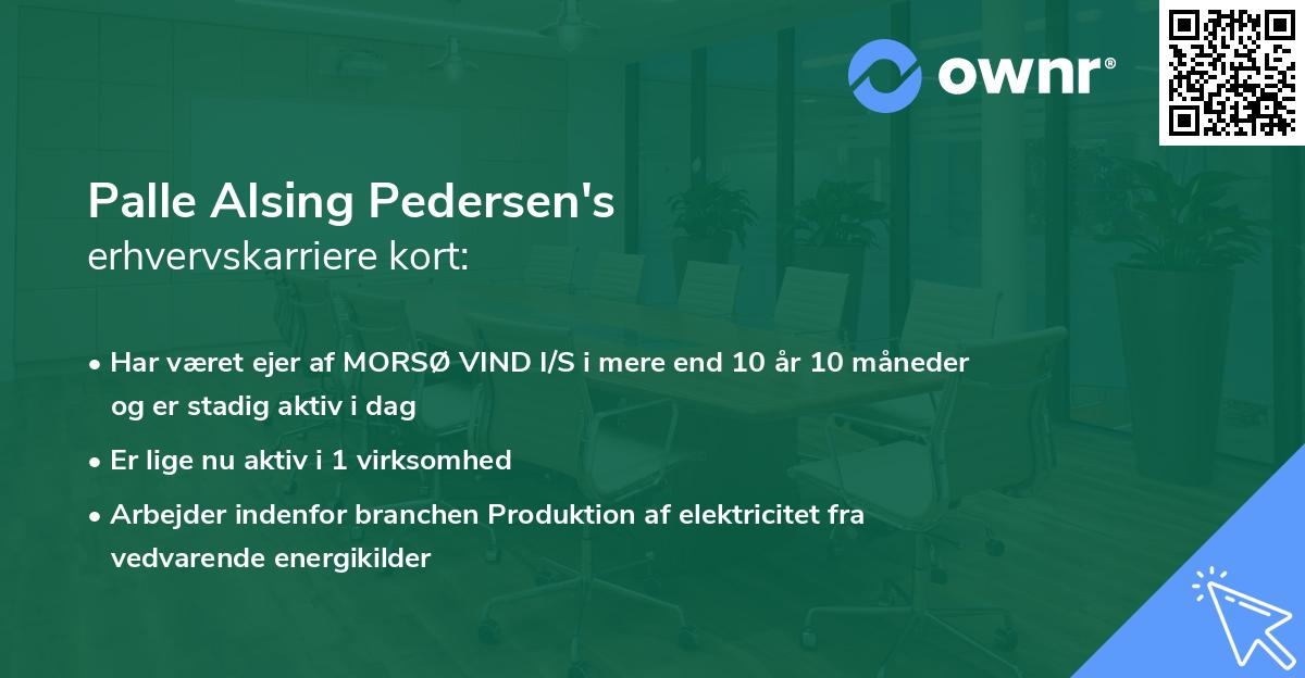 Palle Alsing Pedersen's erhvervskarriere kort