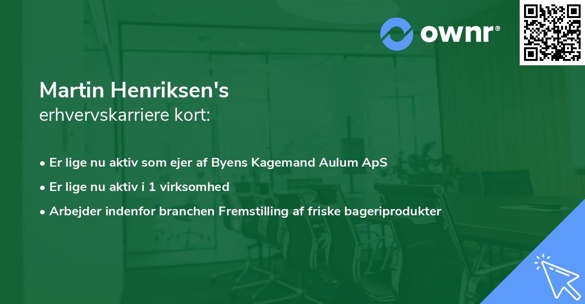 Martin Henriksen's erhvervskarriere kort