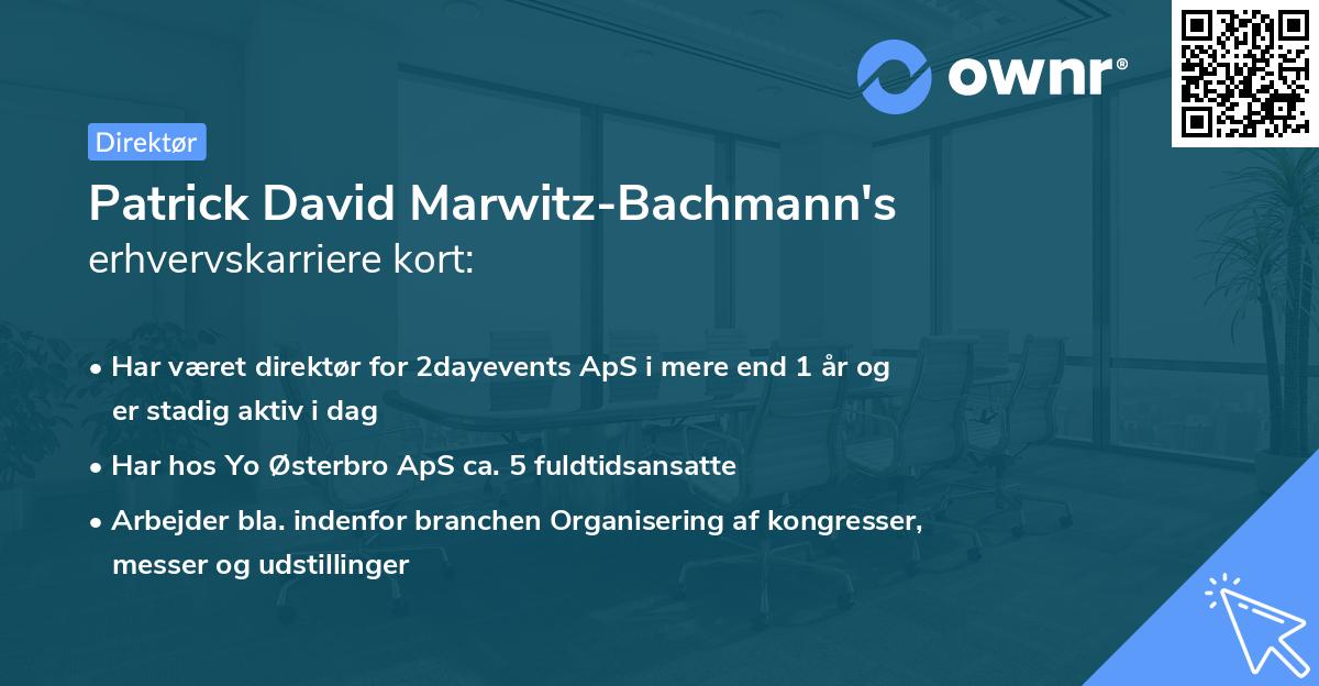 Patrick David Marwitz-Bachmann's erhvervskarriere kort
