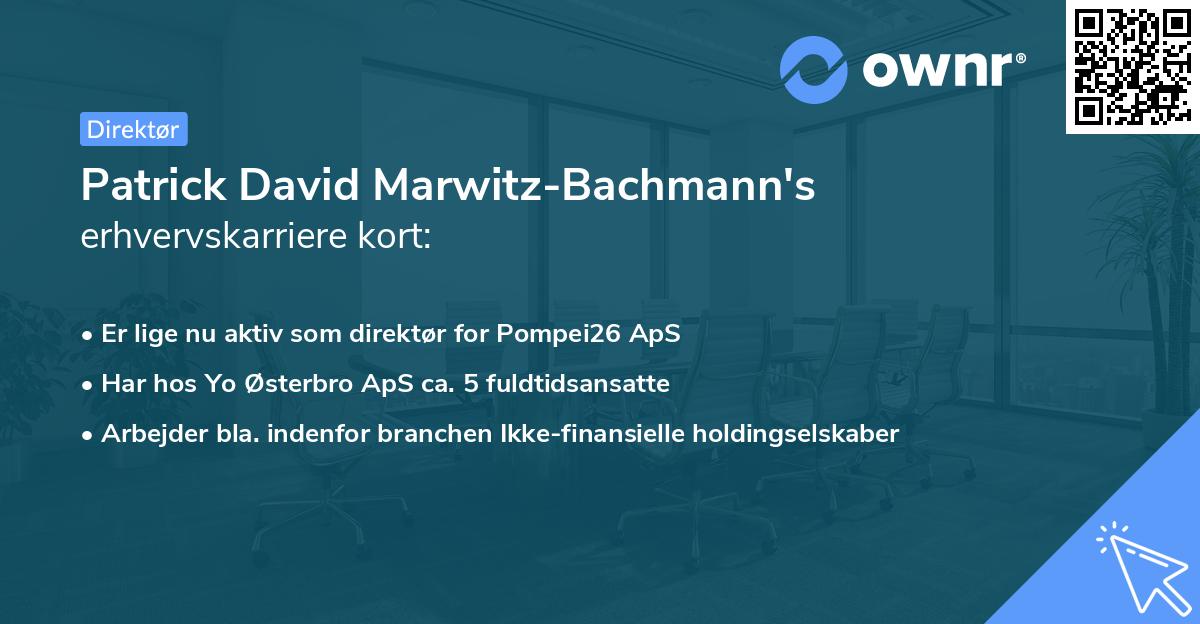 Patrick David Marwitz-Bachmann's erhvervskarriere kort