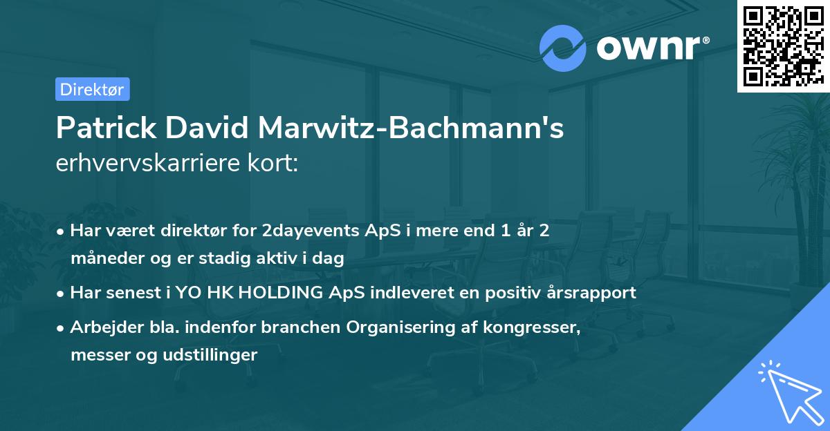 Patrick David Marwitz-Bachmann's erhvervskarriere kort