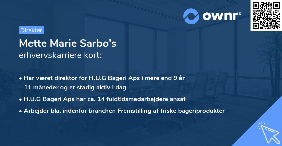 Mette Marie Sarbo's erhvervskarriere kort