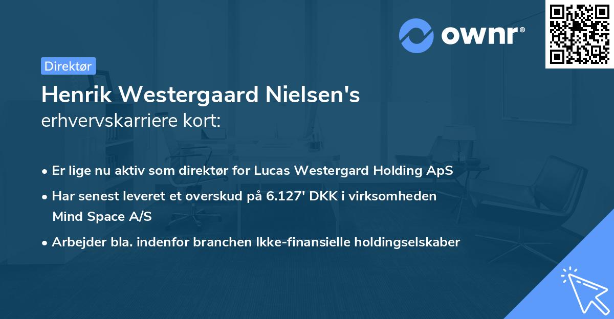 Henrik Westergaard Nielsen's erhvervskarriere kort