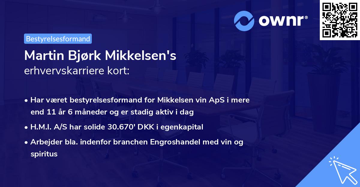 Martin Bjørk Mikkelsen's erhvervskarriere kort